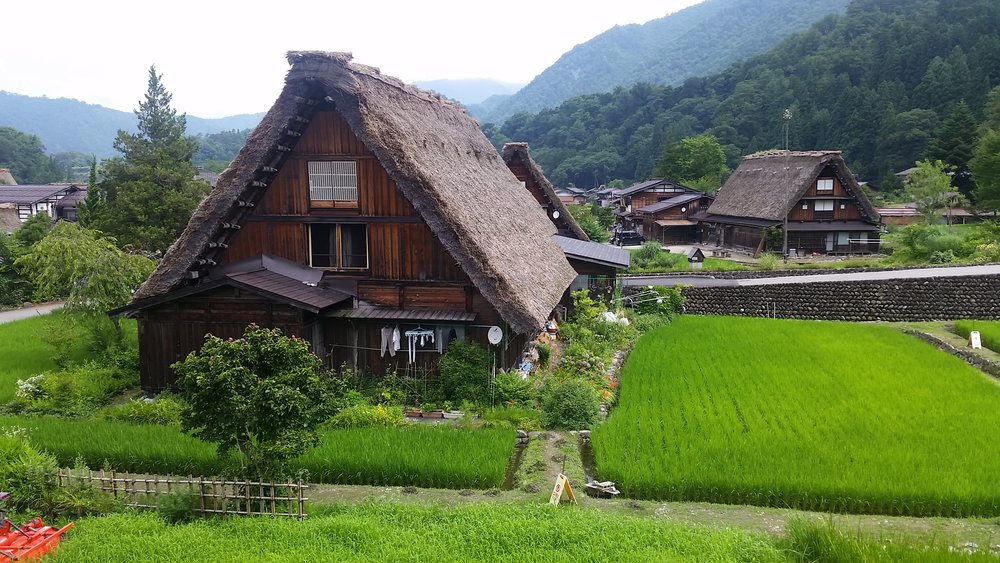 house in green field