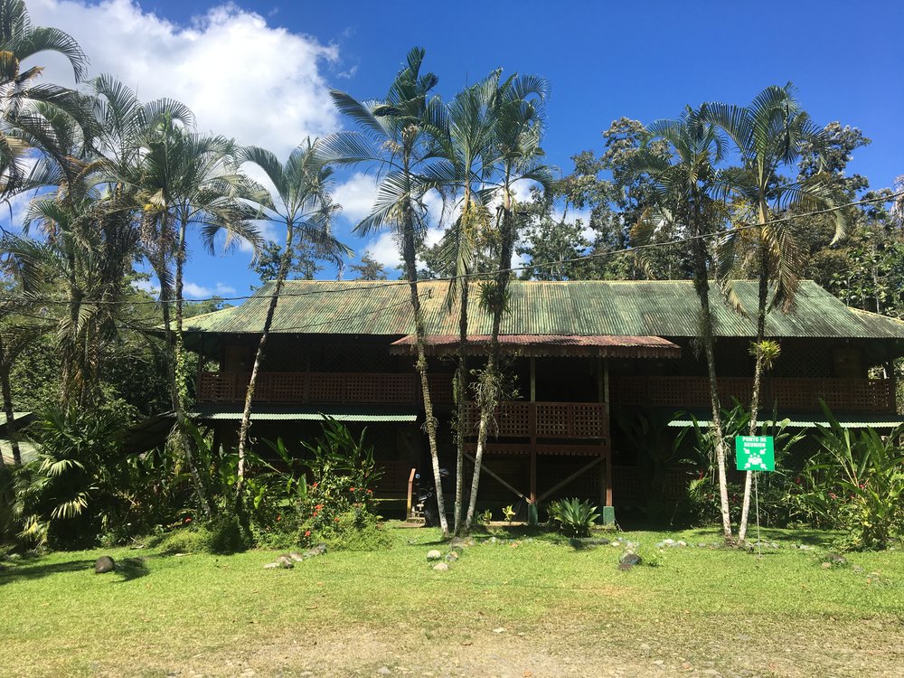 low house with tropical trees in front of it